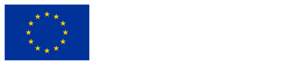 EU Logo and the text Co-funded by the European Union